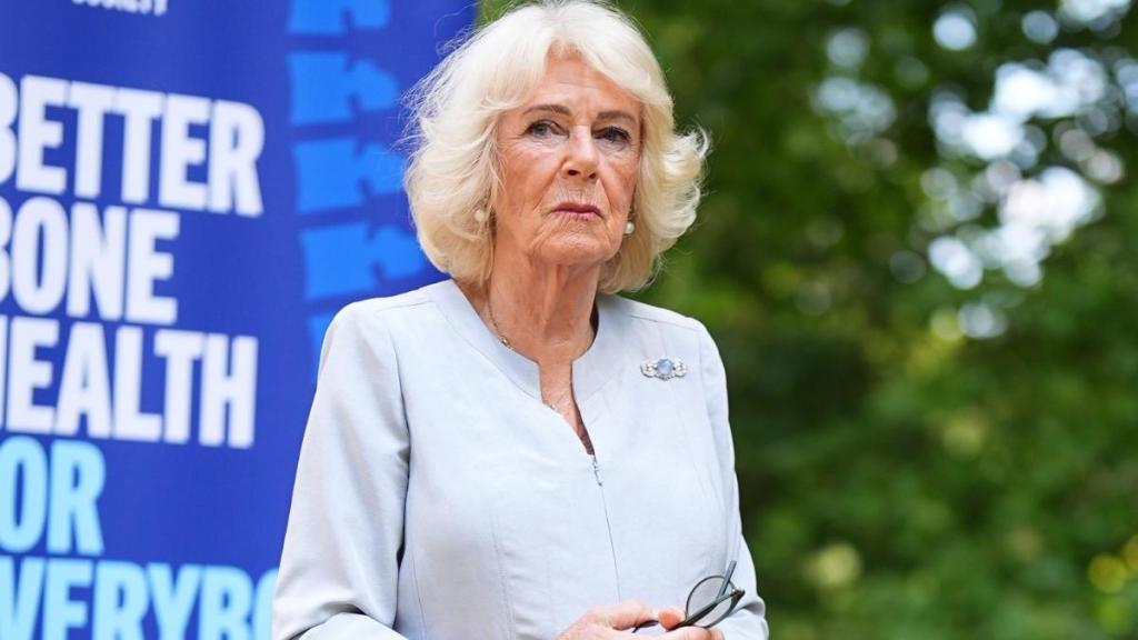 Queen Camilla Is Convinced Prince Harry Could ‘Turn on the Family Again’ — Insider