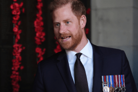 Prince Harry Clarifies Why He Still Uses His Royal Title as His Occupation