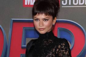 Zendaya's Body-Hugging Ashi Studio Dress Goes Fully See-Through on 1 Side