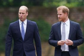 Prince Harry’s 5-Word ‘Peace Offering’ to Prince William — Insider