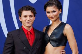 Zendaya's New Career Plan Leaves Fans Surprised