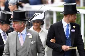 King Charles Faces Pressure to Distance Himself From Prince Harry and Meghan Markle — Source