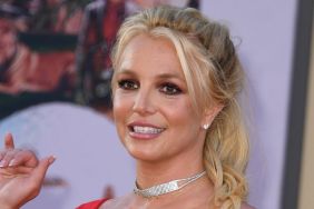 Britney Spears Reappears as Passenger With Chauffeur Following DUI Arrest