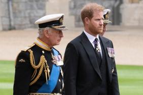 Prince Harry’s King Charles Reunion Gets a Brutal New ‘Bankruptcy’ Theory — Source