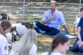 Prince Harry’s Yearly Family Tradition for Late Princess Diana Revealed