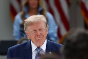 Donald Trump's New AI Photo Sparks Jeffrey Epstein Confusion