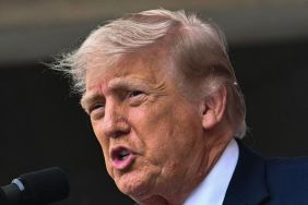 Donald Trump’s Mail-in Ballot Order Granted a Clear Path in New Ruling