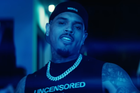 Chris Brown Moves to Overturn $13 Million Verdict in Dog Bite Lawsuit