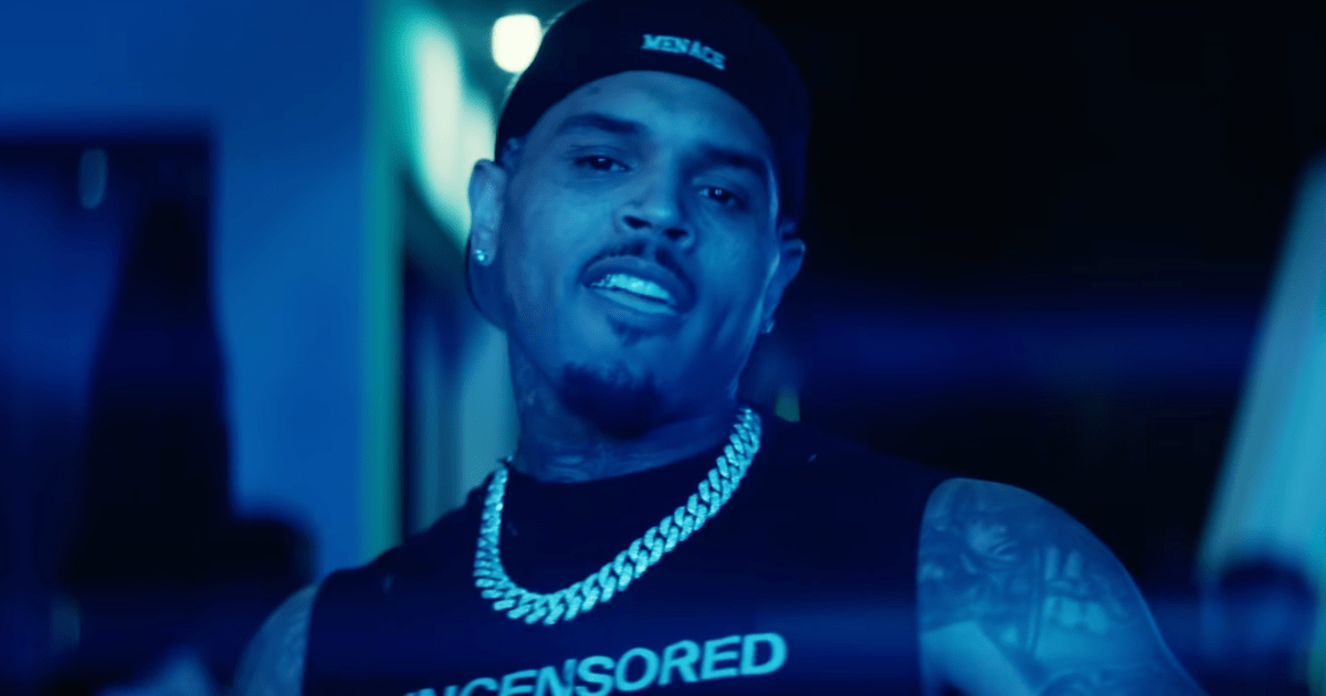 Chris Brown Moves to Overturn $13 Million Verdict in Dog Bite Lawsuit