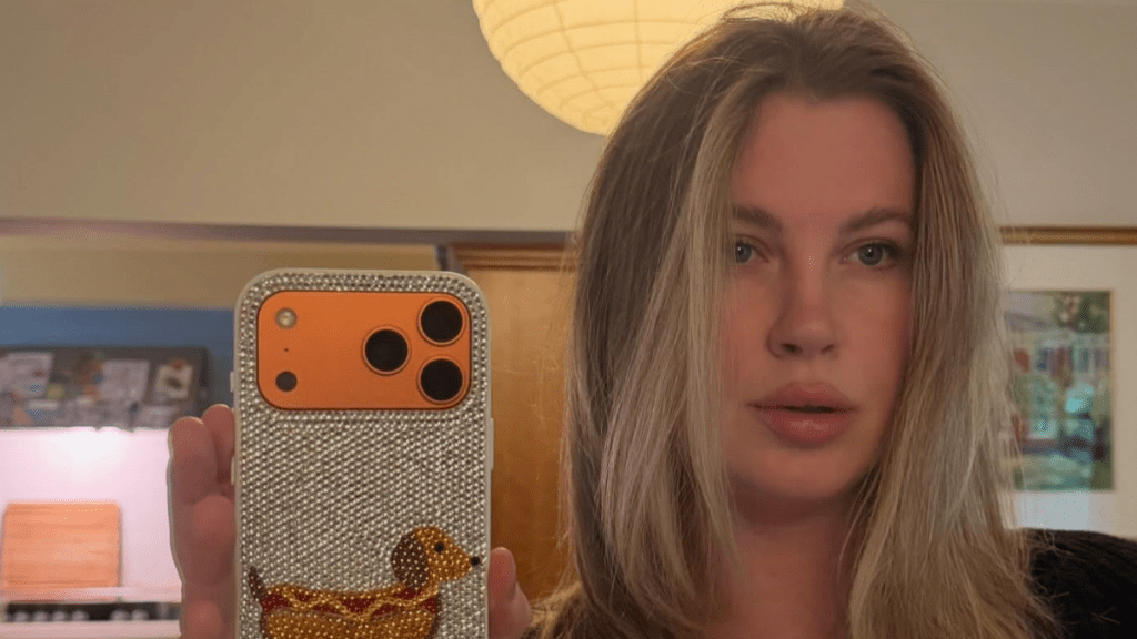 Ireland Baldwin Reacts to Former Foe Perez Hilton's Hospitalization