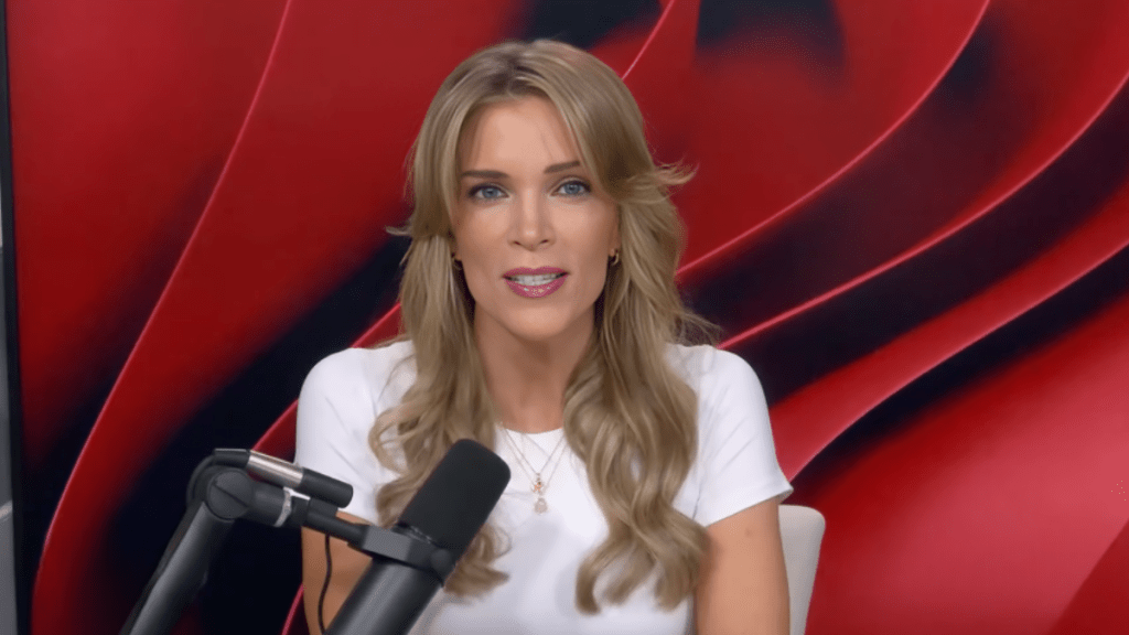 Megyn Kelly Attacks Ariana Grande as Star Pulls Back From Public Eye