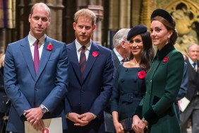 prince william