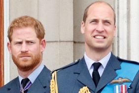prince harry