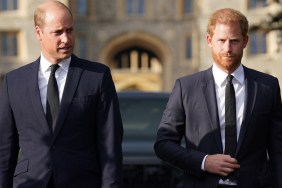 prince harry