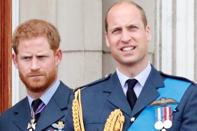 prince harry