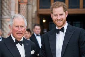 King Charles' Own Divorce Shapes How He Sees Prince Harry's Marriage — Insider
