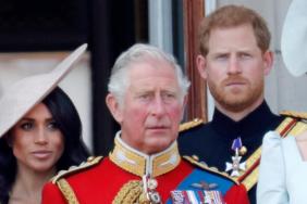 Prince Harry Wants More From King Charles After Their Reunion — Insider