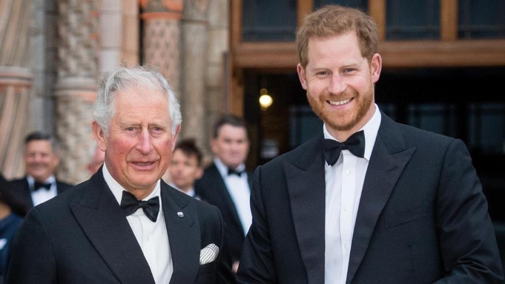 Prince Harry Knows How to Reach Charles as a Father, Not a King — Insider