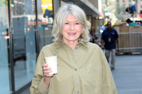Bethenny Frankel challenges Martha Stewart to join her viral Chicken Salad Olympics