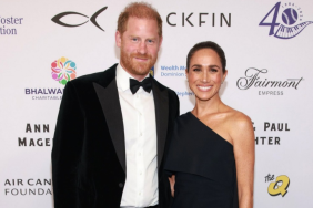 Meghan Markle's 'Touchy Feely' PDA Doesn't Align With Prince Harry — Source