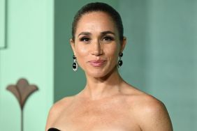 Meghan Markle Has Become 'Intolerable' in Hollywood Circles — Expert