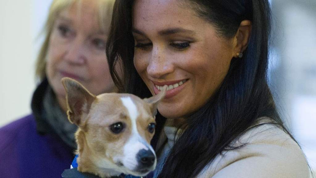 Meghan Markle was once mistaken for actress Megan Fox during a very crucial call.