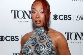 Megan Thee Stallion's Maison de Cozy Top Is Nothing but Straps & Cutouts