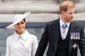 Prince Harry ‘Resented’ One Thing About Meghan Markle Marriage — Source