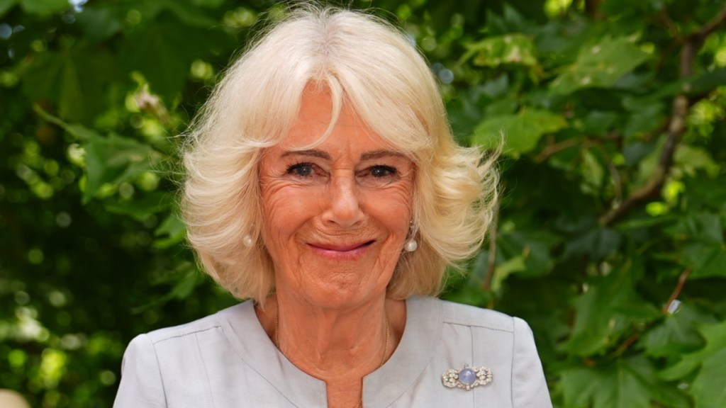 Queen Camilla Sees a Royal Couple as a Threat & It’s Not Prince Harry & Meghan Markle — Source