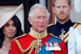 Meghan Markle’s Cutting Swipe May Be Driven by Loyalty To King Charles — Source