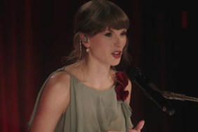 Taylor Swift's $798 Fully See-Through Doen Dress Barely Hangs On