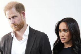 One Prince Harry Move ‘Stings’ Meghan Markle the Most After UK Trip — Source