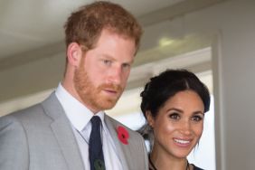 Prince Harry’s Role in Megxit Looks Very Different in This New Argument — Expert