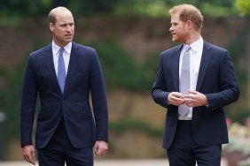 Prince Harry Urged to Do One Thing to Win Back Prince William’s Trust — Expert