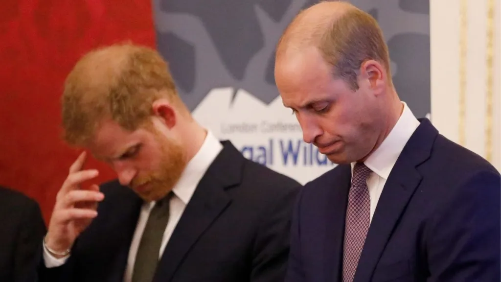 Prince William Has 4-Word Warning for Prince Harry Amid Rift — Source