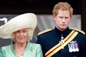 Queen Camilla Broke the Ice With Prince Harry in a Surprising Way — Expert