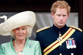 Prince Harry Suspects This Is What Queen Camilla Will Do After UK Move — Source