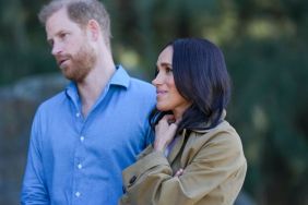 Prince Harry Experiencing ‘Spousal Alienation’ Due to Meghan Markle — Expert