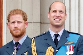 Prince Harry's UK Return a Blessing in Disguise Amid Prince William Feud — Source