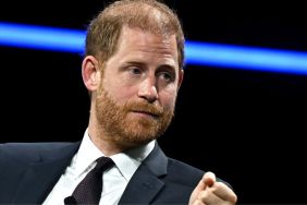Prince Harry May Have Finally Found the Non-Royal Role That Fits Him — Source