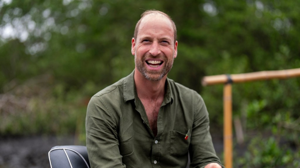 Prince William Draws Princess Anne’s Fire as Royal Feud Drags On — Insider 