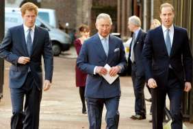 Prince William Powerless as King Charles Opens Door to Prince Harry — Source
