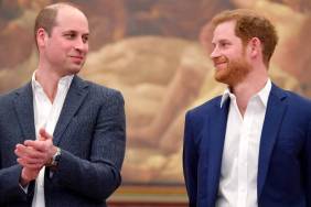 Prince Harry & Prince William Broke a Lifelong Pledge They Made Years Ago — Author