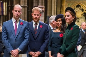 Meghan Markle & Prince Harry's Return Puts Some People in Crossfire — Insider