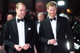 Prince Harry’s UK Return Puts Prince William’s Actions Under the Microscope — Expert 