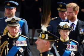Prince William & Prince Harry Issued Scathing Warning by Princess Anne Amid Feud — Source