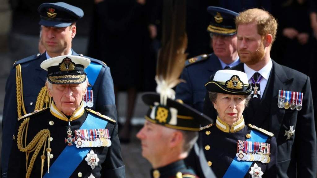 Prince William & Prince Harry Issued Scathing Warning by Princess Anne Amid Feud — Source