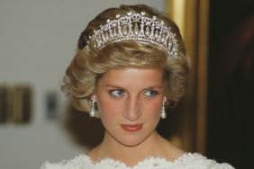 New Princess Diana Book Looks To ‘Settle Scores’ With the Royal Family — Author