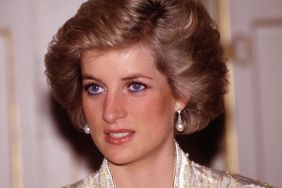 Princess Diana's Close Friend Says She Would Have Seen Meghan Markle Differently