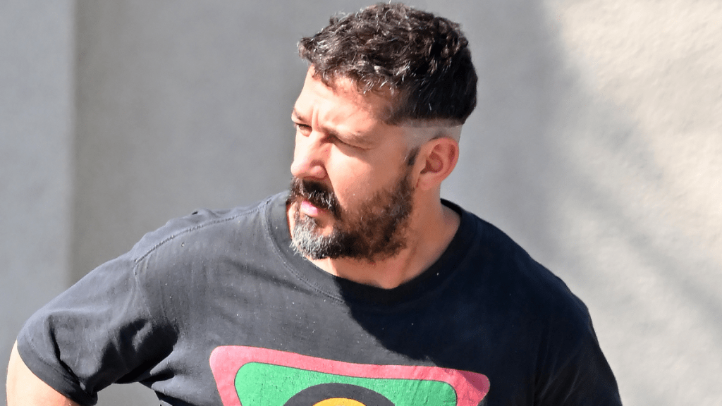Shia LaBeouf Reveals Daily Drinking Months After Troubling Mardi Gras Arrest